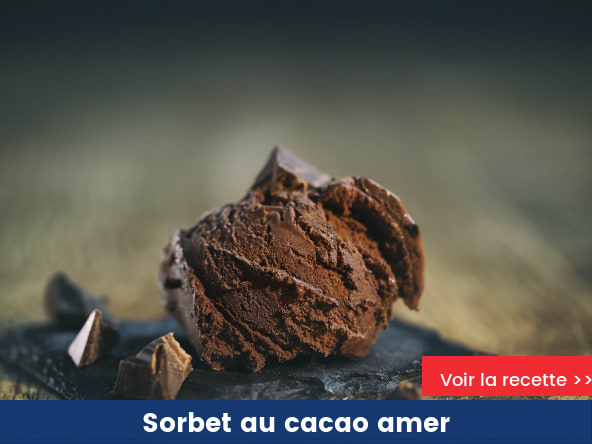 Sorbet au cacao amer